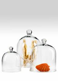 Jamali Garden Glass Cloche Glass Dome Cloche The Bell Jar