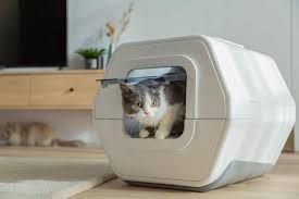 If you are one of the many cat owners that is considering switching to an automatic litter box, please ensure you make the right choice for your cats and give them plenty of time to get. Lulupet Ai Smart Cat Litter Box Uses Ai To Track The Cat S Health Status Through The Stool Gizmochina