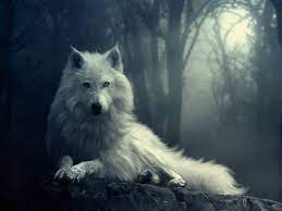 The franchise started out as a cult classic, but got noticeably better attention when its sequels were released. 74 Free Wallpaper Of Wolves On Wallpapersafari