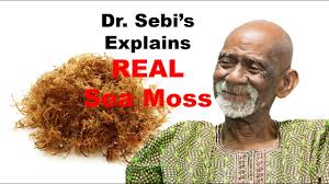 It must be sealed to ensure freshness. Dr Sebi Explains Real Sea Moss Youtube