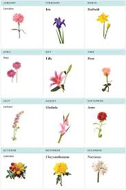 Birth Month Flower Tattoo Birth Flower Tattoos Flower