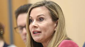 MP stands by staffer in website row