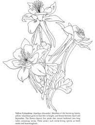Pin On Digi Stamp