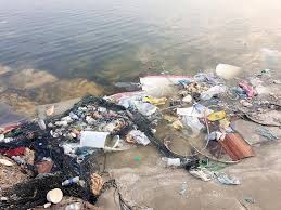 النفايات تلوث شواطئ الشرقية أخبار السعودية صحيفة عكاظ