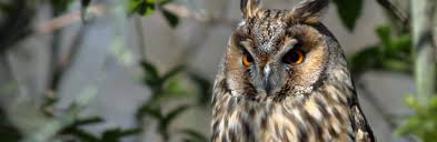 有名サッカー部ネカマでオナニー、露好きなリーマン リアルで - サッカー 部 ネカマ