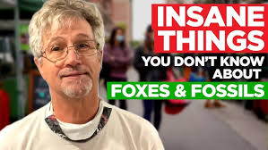 Foxes and Fossils