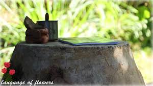 ค ดได ไง เอาไหก บโอ งมาทำเป นช ดโต ะเก าอ ในสวน ยกน ว