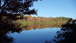 Experience the sites and scenery. Renata S Pocono Best Buy Homes Home Facebook