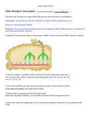 Read free enzyme lab simulation answer key video computer games, virtual labs and activities for learning and reviewing biology content. Dna Mutation Simulation Worksheet Pdf Name Ariana Santiago Dna Mutation Simulation Use Blue Ink For All Answers U200b Access The Simulation At U200bdna Course Hero