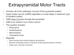 Pyramidal Vs Extrapyramidal Pyramidal Vs Extrapyramidal System Pyramidal Vs Motor Neuron System Neurons
