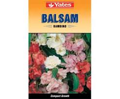 Yates Bambino Balsam Flower Seeds Balsam Flowers