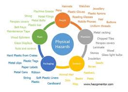 Food Safety Hazard Identification 101 Haccp Mentor Food Safety Food Safety Posters Food Safety Tips