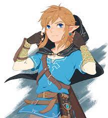The Dream Walker Hylian Hood Legend Of Zelda Breath Legend Of Zelda Memes Link Zelda Art
