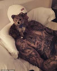 Add to compare compare now. Justin Bieber And Hailey Baldwin Welcome Adorable New Kitten Sushi Into Their Family Daily Mail Online