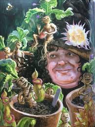 Sewing Bee: Professor Sprout and Baby Mandrake Cosplay HD phone wallpaper