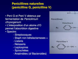 Les pénicillines ( p , pcn ou pen ) sont un groupe d' antibiotiques obtenus à l'origine à partir de moisissures penicillium , principalement p. Ppt Penicillines Powerpoint Presentation Free Download Id 706276