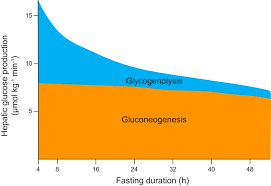 Listen to daniel cersosimo ex arquero de velez velez radio by eco medios | entrevistas for free. Mechanisms Of Insulin Action And Insulin Resistance Abstract Europe Pmc