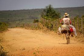 Search the world's information, including webpages, images, videos and more. Pin De Rodolfo Bazetto Em Fotografia Nordeste Brasil Paisagens Brasileiras America Do Sul