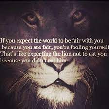 It S A Dog Eat Dog World One Sentence Quotes Quotable Quotes Life Quotes