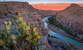 Best places to live | compare cost of living, crime, cities, schools and more. Texas S Cactus Cops Battle To Save Rare Desert Beauty From Smuggling Gangs Plants The Guardian