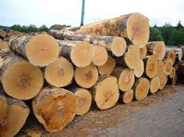 Western Hemlock Is An Outstanding Wood For Moldings And Interior Woodworking Buy Quality Hemlock Wood Logs Specification At The Best Beach Wood Wood Logs Wood