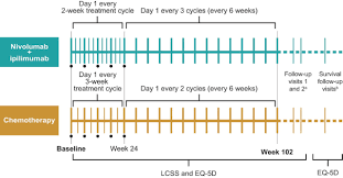 How to unlock all missions: Nivolumab Plus Ipilimumab Versus Chemotherapy As First Line Treatment In Advanced Non Small Cell Lung Cancer With High Tumour Mutational Burden Patient Reported Outcomes Results From The Randomised Open Label Phase Iii Checkmate 227 Trial European