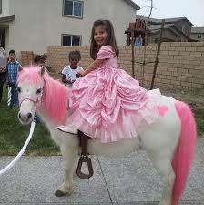 Party Pets Petting Zoo Call For More Information Or Available Dates Call Tammy 909 247 4572 Pettingzoo Party Mobile Petting Zoo Zoo Animals Cute Baby Horses