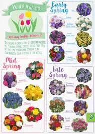 Resources Palmers Garden Centre Garden Bulbs Planting Bulbs In Spring Flower Bulbs Garden