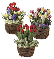 Maybe you would like to learn more about one of these? Three Months Of Flower Bulb Gift Gardens Plowhearth