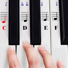 Keyboard klavier noten aufkleber piano sticker klaviertasten transparent de. Solltest Du Deine Klaviertastatur Beschriften