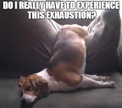 25 Exhausted Memes You Ll Find Way Too Funny Sayingimages Com Exhausted Quotes Funny Tired Quotes Funny Exhausted Humor