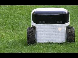 We did not find results for: Tondeuse Robot Autonome Et Sans Cable Essai Pratique Sur Le Terrain En Avant Premiere Youtube