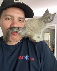 Austinn Jensen (@chiefasian) • Instagram photos and videos