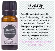 Hyssop Essential Oil Hyssop Essential Oil Edens Garden Essential Oils Essential Oils