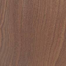 Image result for Bobgunnia madagascariensis