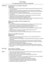 project management associate resume