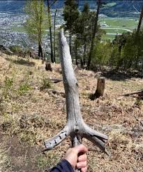 Coolest wood stick ever