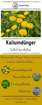 Kaliumdunger Eigenschaften Sorten Tipps Zum Selbermachen Kaliumdunger Bedient Besondere Eigenschaften Der Pflanze Gartenarbeit Pflanzen Erkennen Pflanzen