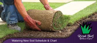 The most important thing we can do for our new sod is to keep it watered thoroughly for the first couple of weeks. Watering New Sod Watering Schedule Chart For Each Season