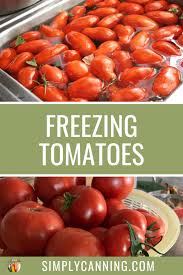 Transfer the frozen tomatoes to a ziplock freezer bag and label the bag with the date. Freezing Tomatoes With Or Without The Peels Save Money And Cut Waste