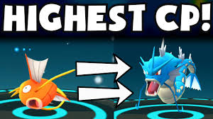 Check spelling or type a new query. Pokemon Go High Cp Magikarp Evolution Into Gyarados Rare Pokemon Evolving Spree Youtube