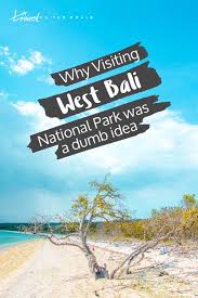 Nama dan cerita sitkom ini terinspirasi dari aplikasi ojek online populer. Why Visiting West Bali National Park Solo Was The Dumbest Idea Travel On The Brain