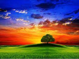 National Geographic Wallpaper Amazing Nature Wallpapers Nature Wallpaper Amazing Nature Beautiful Nature