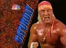 Tap and hold to download & share. Hulk Hogan Brother Gifs Tenor