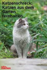 So Haltst Du Deine Katze Vom Gemusebeet Fern Ohne Wasserspritzpistole Und Ultraschall Katzen Garten Garten Design