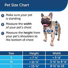 You can make them solid wood farmhouse style like these. Petsafe Sliding Glass Cat And Dog Door Insert Great For Rentals And Apartments Small Medium Large Pets No Cutting Diy Installation Pricepulse
