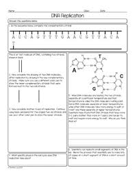 Dna achieves this feat of storing, coding and transferring biological information though its unique structure. Dna Replication And Base Pairing Biology Homework Worksheet Tpt