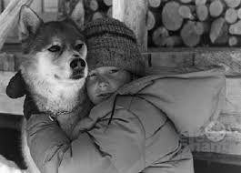 Toby McTeague (1985)