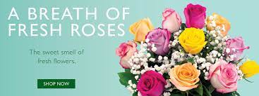 Retail flowers, inc royer's flowers accepted payment and delivered a fraction of what i paid for. Royer S Flowers And Gifts Home Facebook