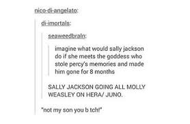 Image Result For Pjo Memes Percy Jackson Funny Percy Jackson Memes Percy Jackson Books